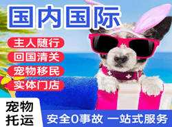 万州五桥机场快运国际宠物托运 【国
